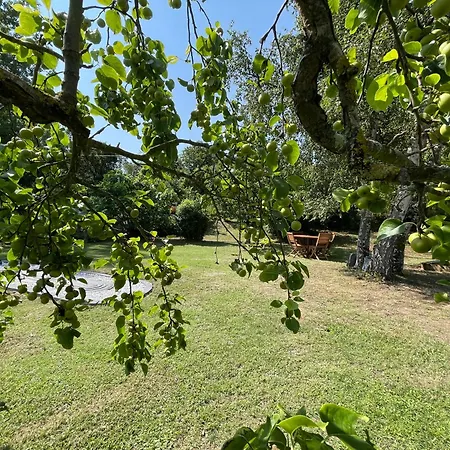 Konukevi D'hotes Des Gatines